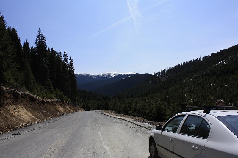 _MG_9771.JPG