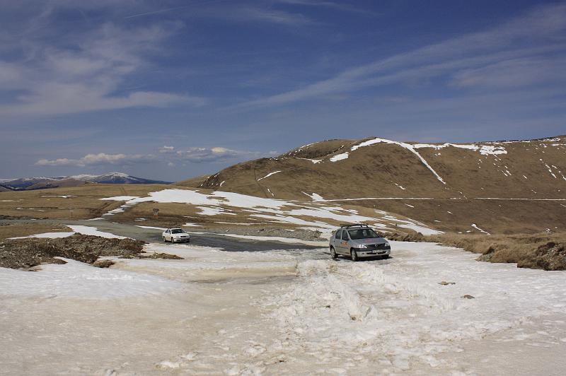 _MG_9786.JPG