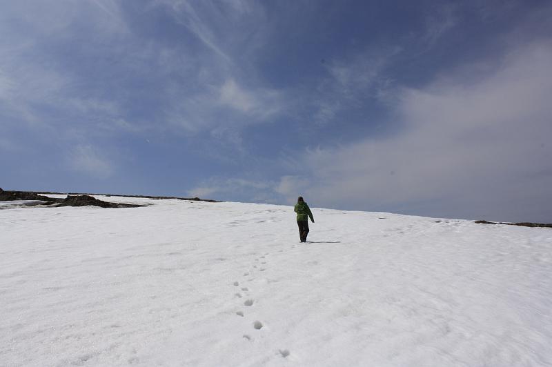 _MG_9814.JPG