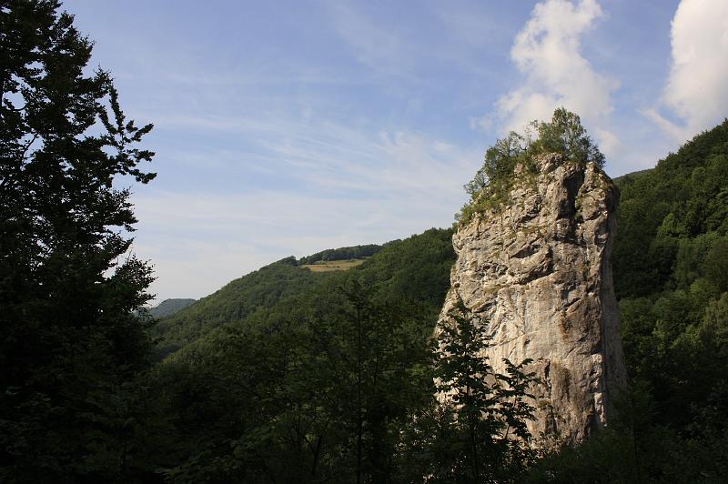 _MG_0795.JPG
