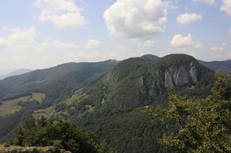 _MG_0954.JPG