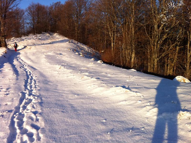 IMG_0113.JPG