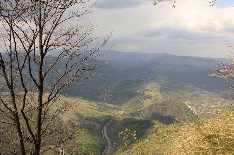 _MG_9888.JPG