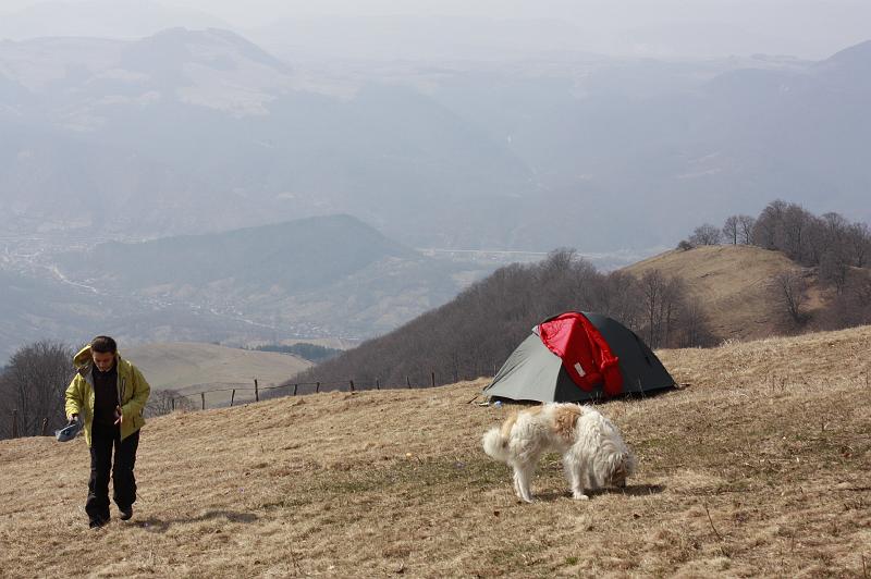 _MG_9562.JPG