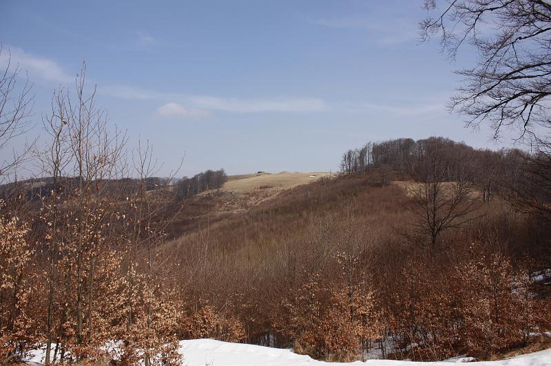 _MG_9585.JPG