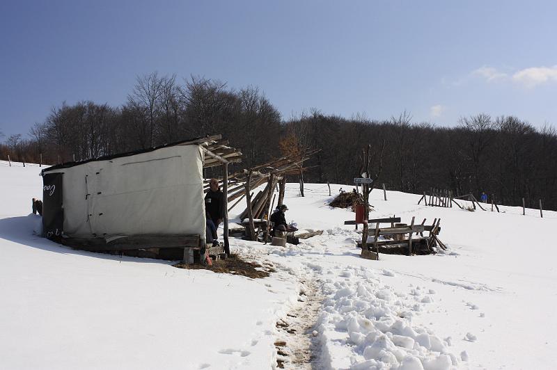 _MG_9355.JPG