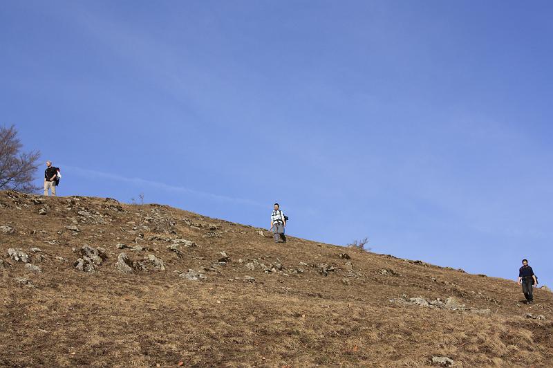 _MG_9393.JPG