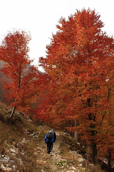 _MG_2469.JPG