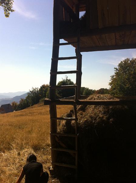 IMG_0710.JPG