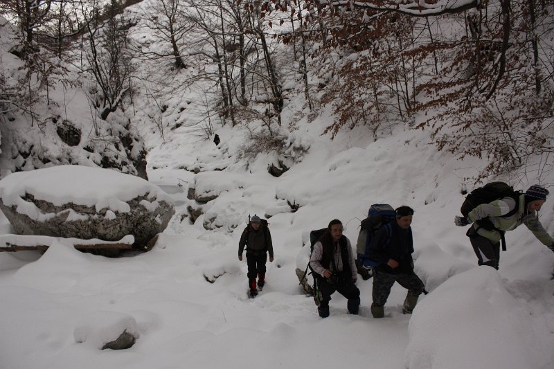 _MG_3640.JPG