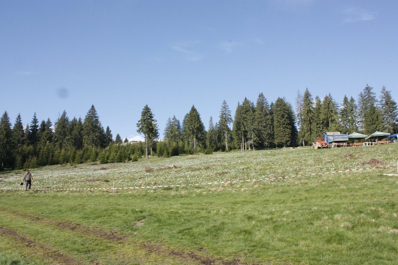 _MG_3762.JPG