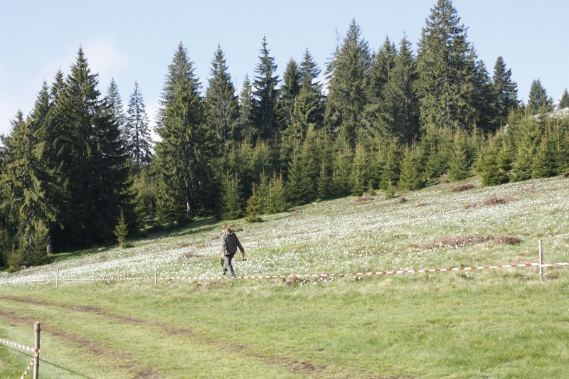 _MG_3763.JPG