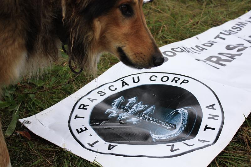 mascota.JPG
