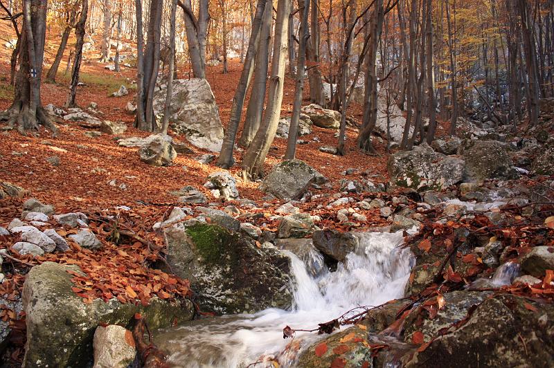 _MG_8081.JPG