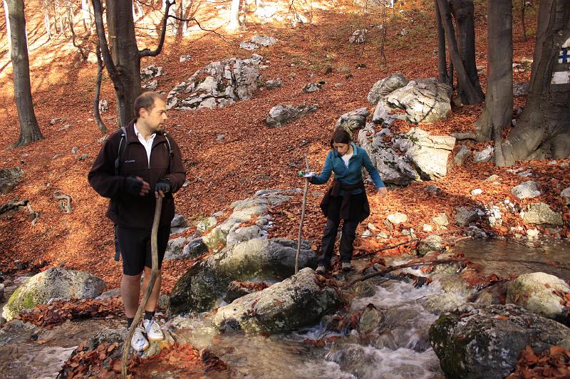 _MG_8116.JPG