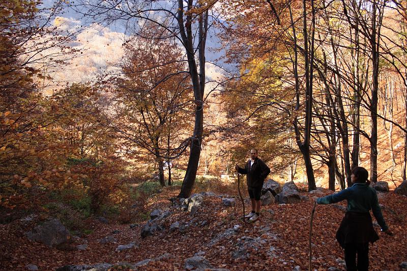 _MG_8121.JPG